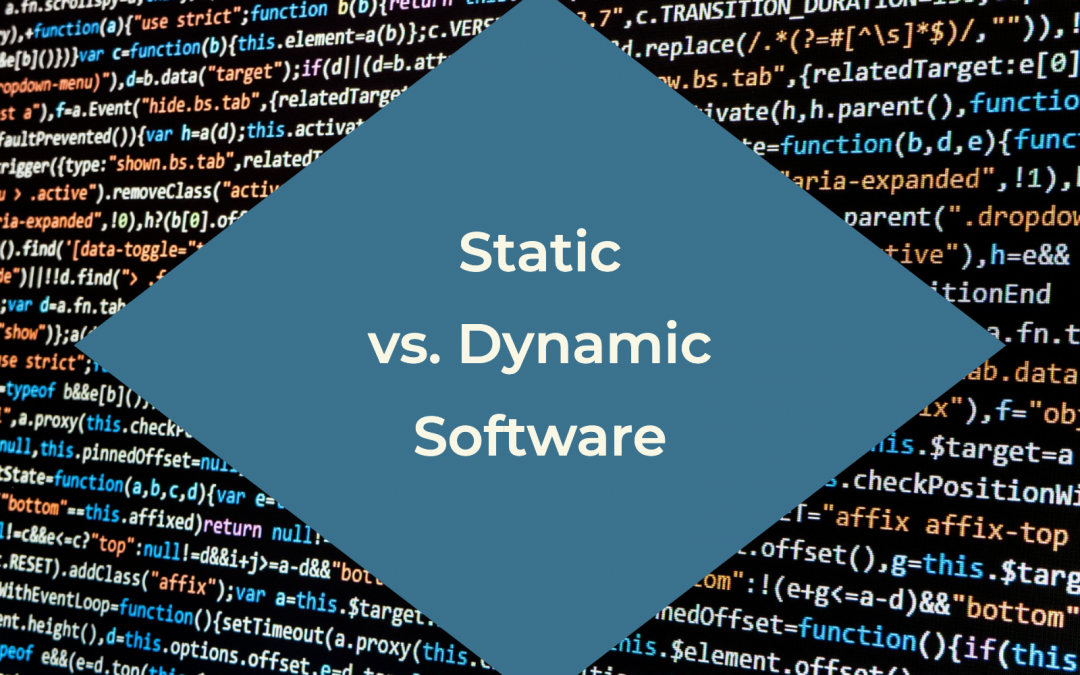 Dynamic vs. Static Software