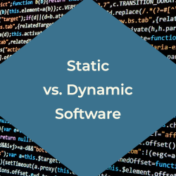 Dynamic vs. Static Software