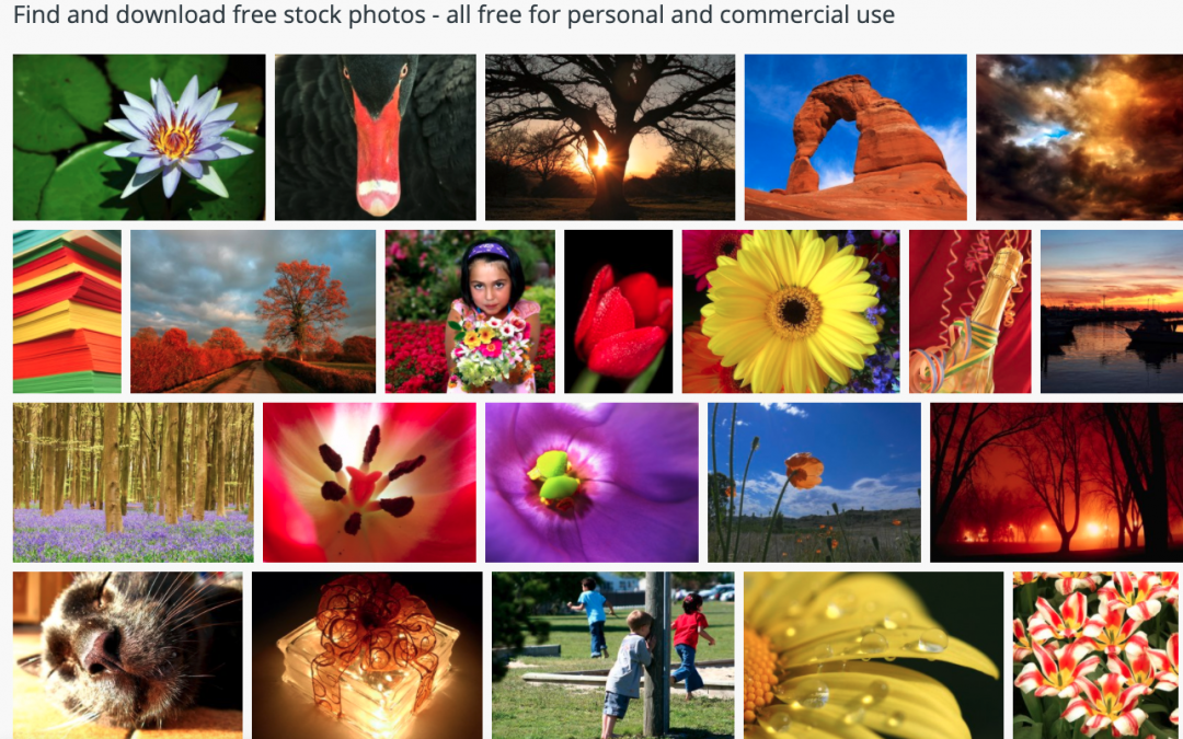 Free Images – Royalty-free photos and images